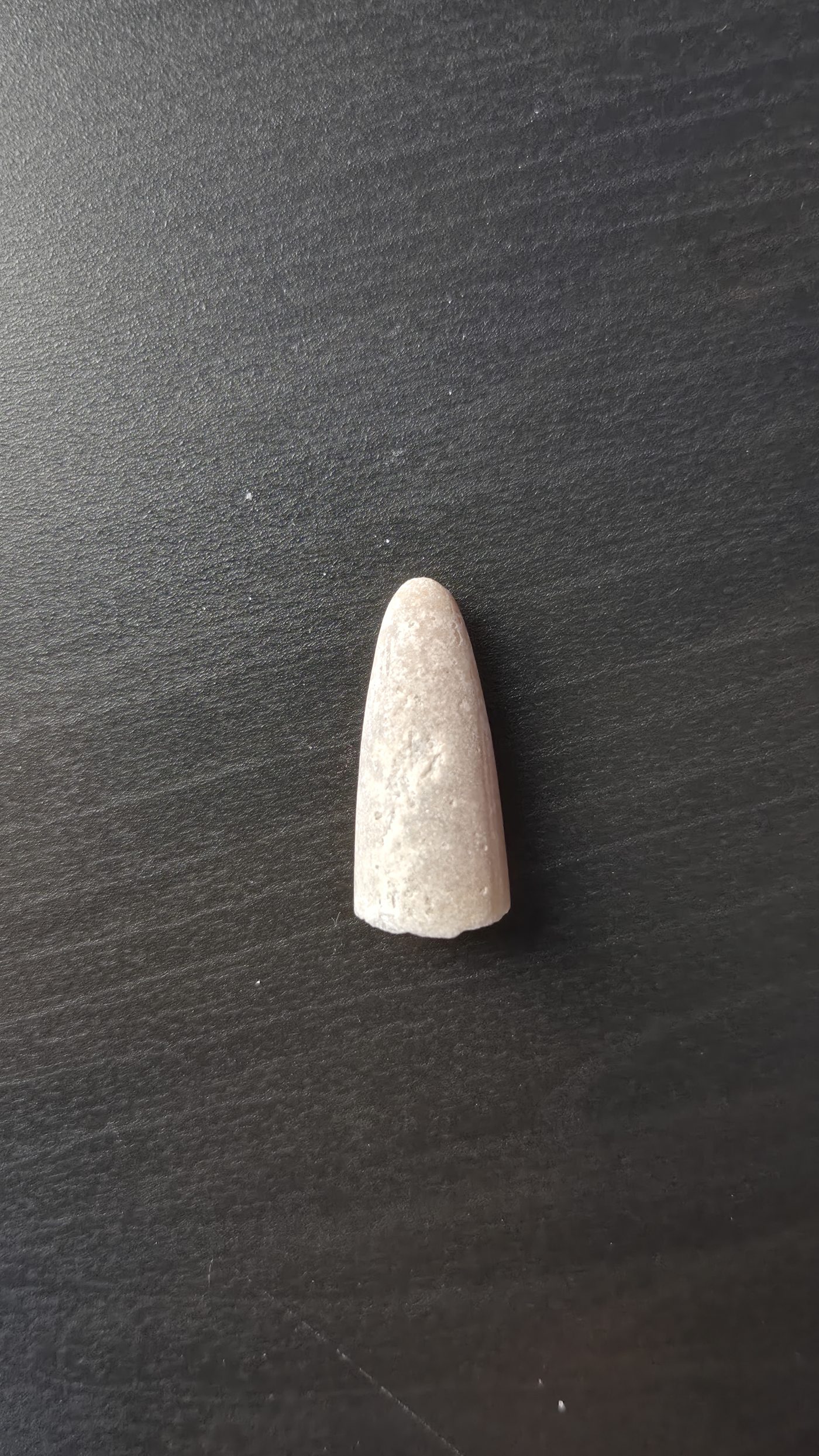 Belemnite