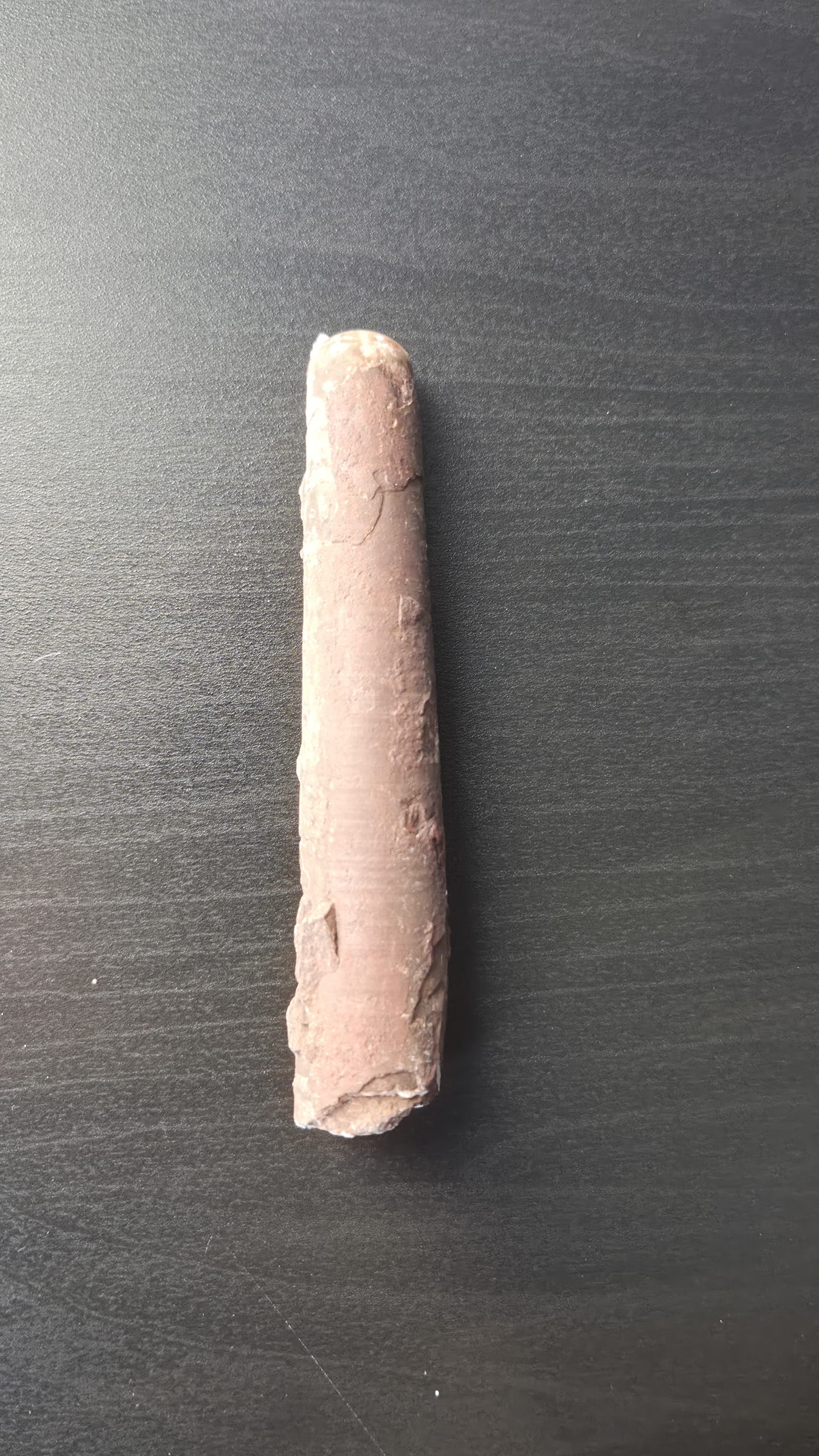 Belemnite