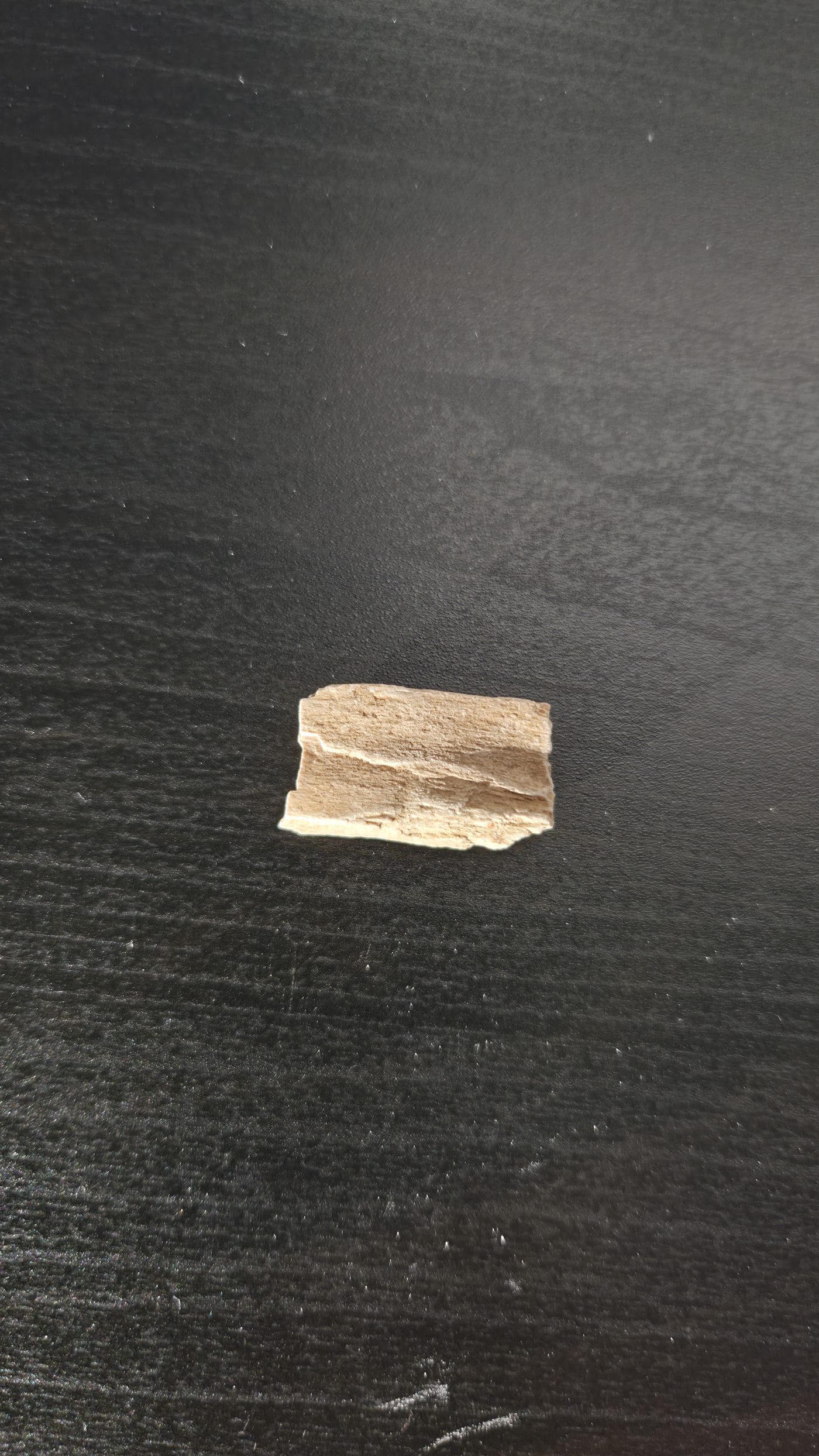 Petrified Wood