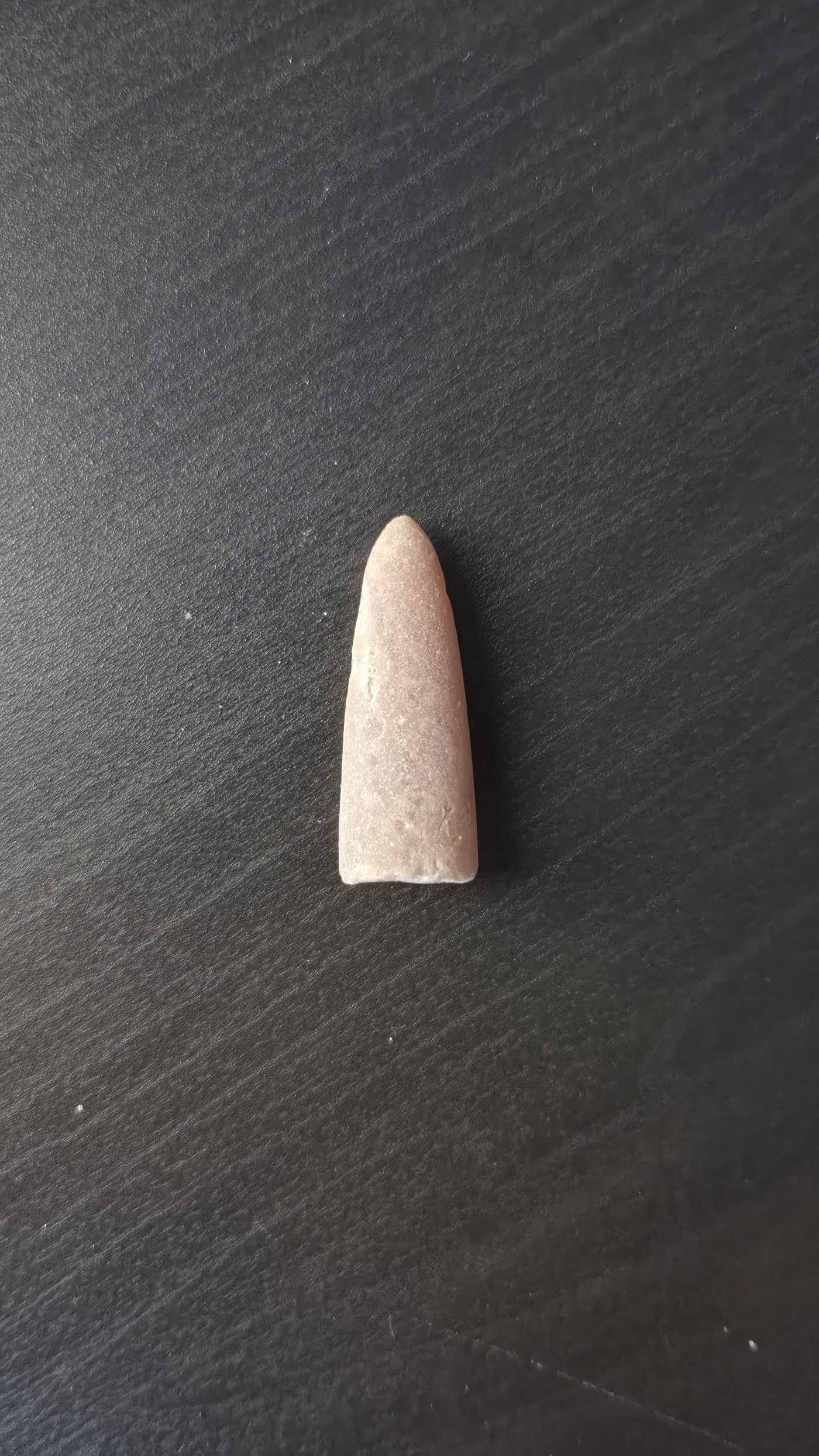 Belemnite
