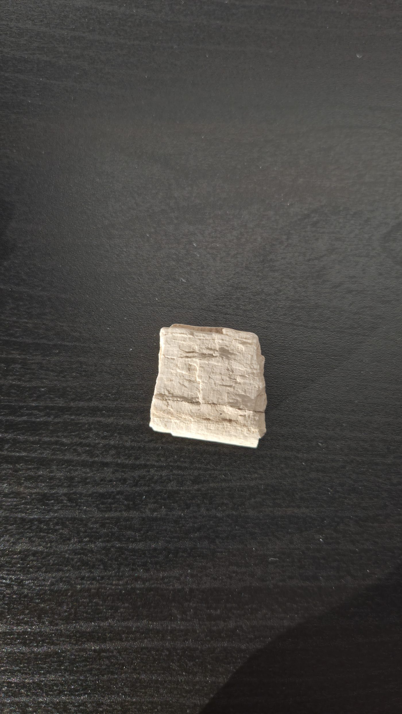 Petrified Wood