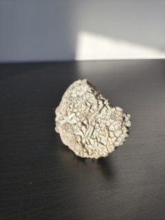 Photo 1 of Honeycomb Coral