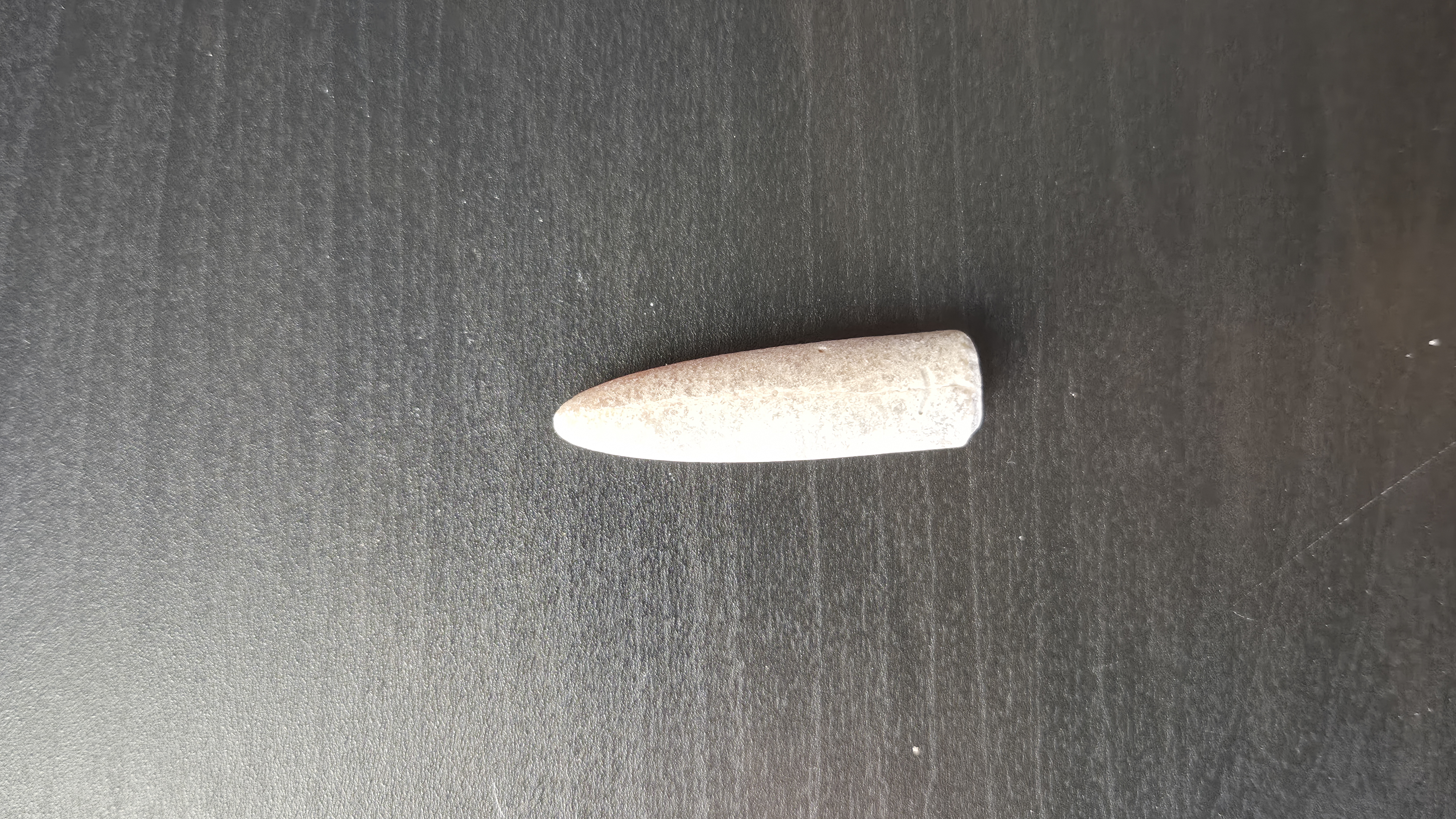 Belemnite