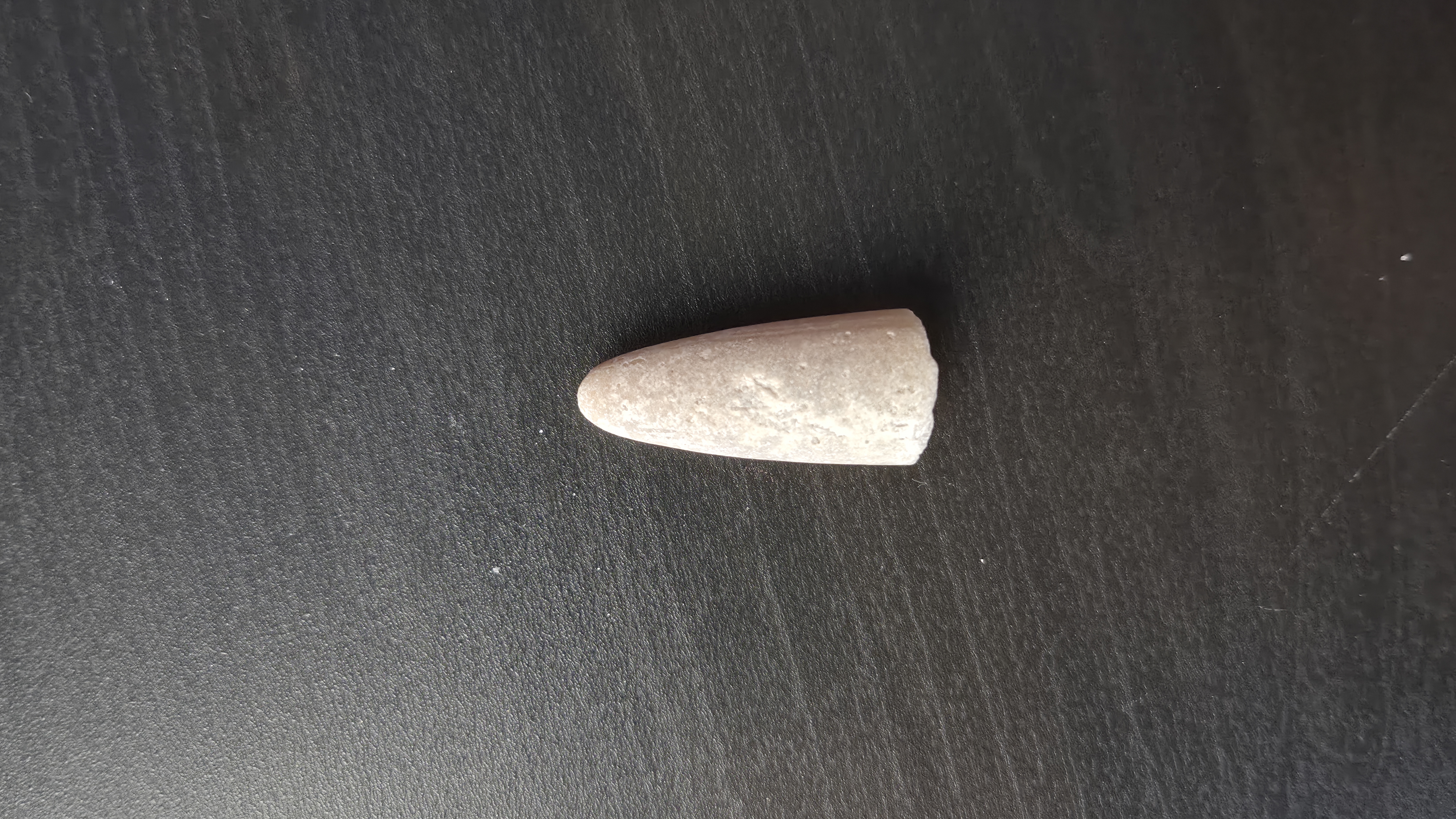 Belemnite