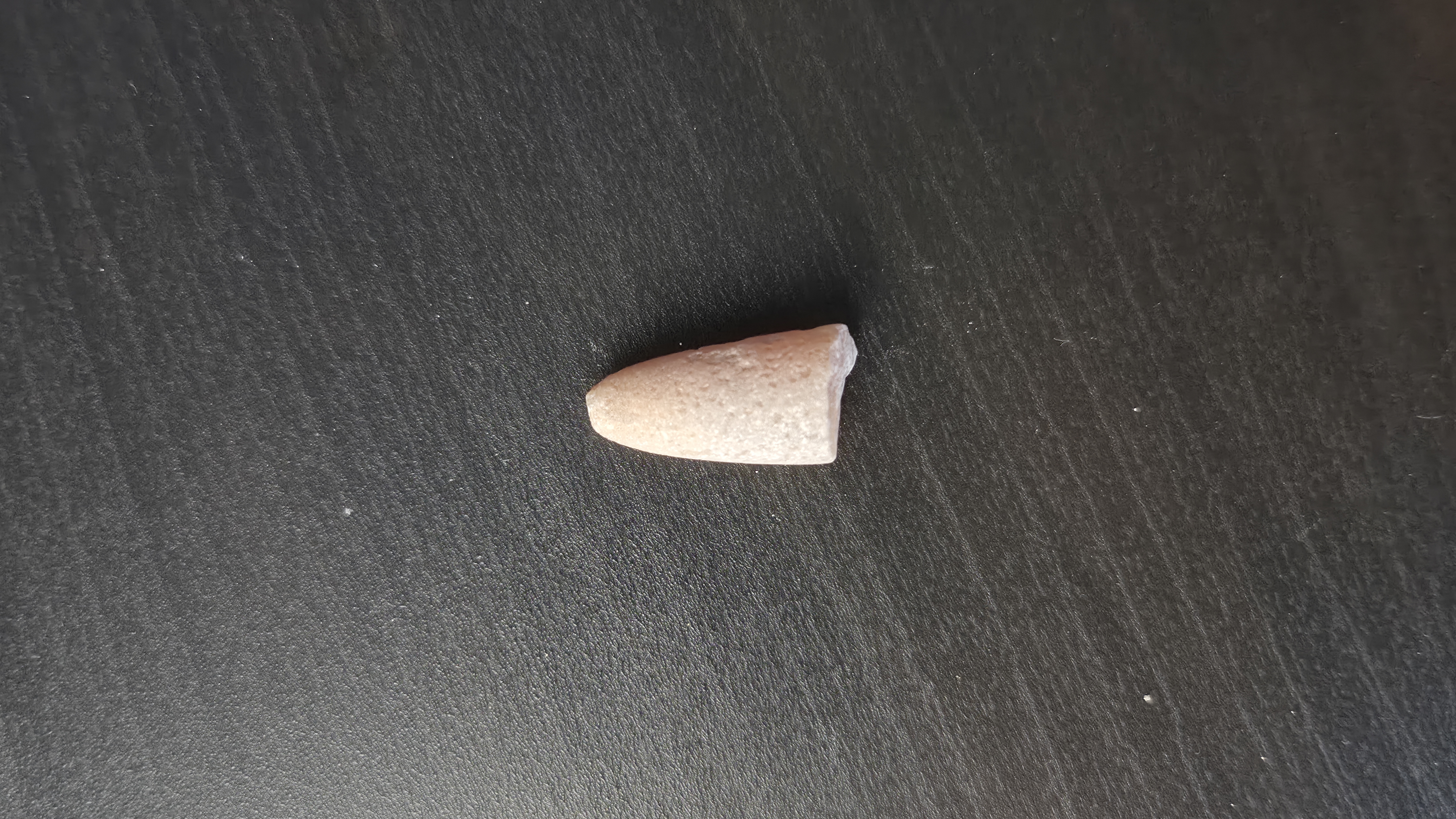Belemnite