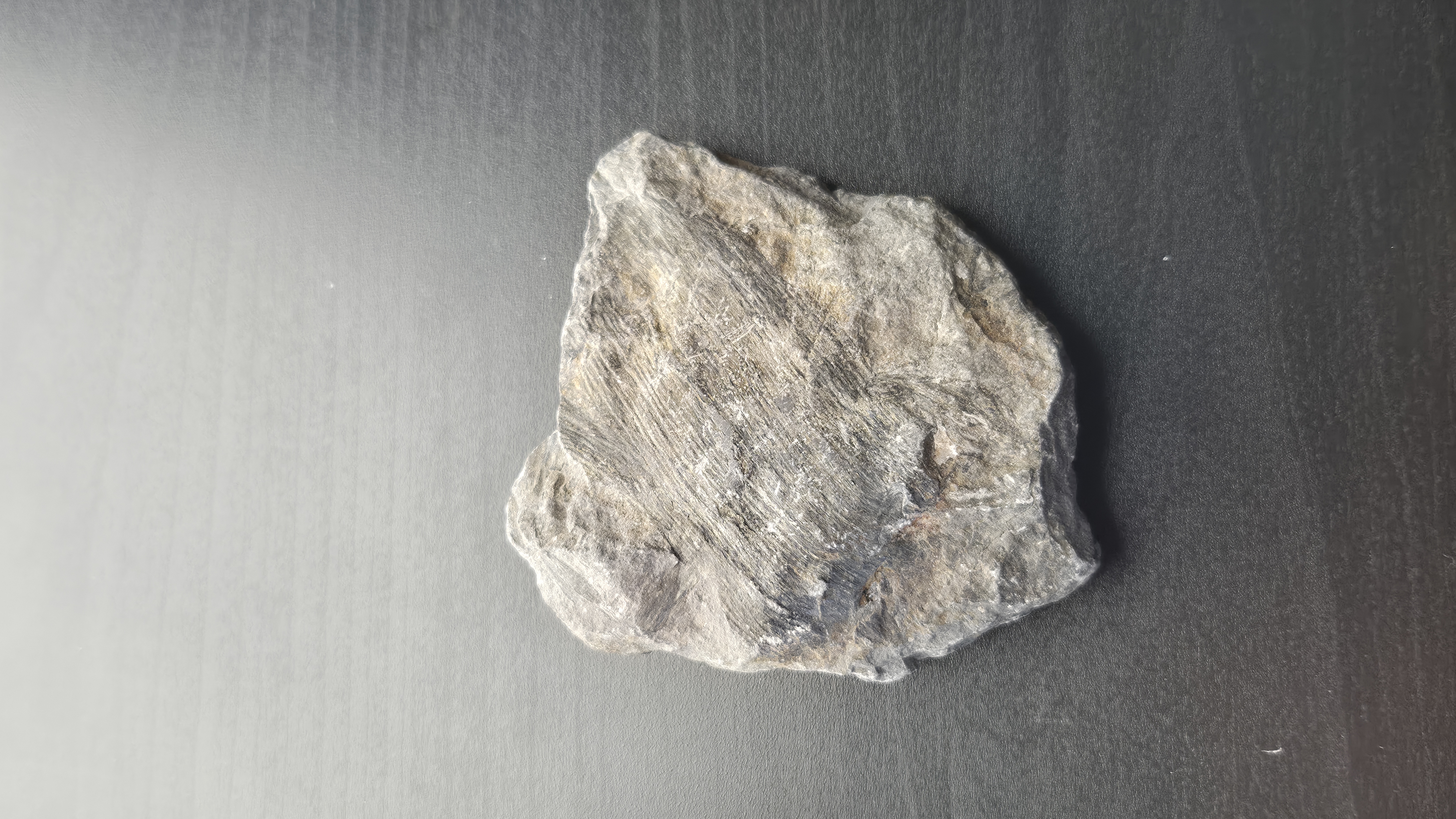 Petrified Wood