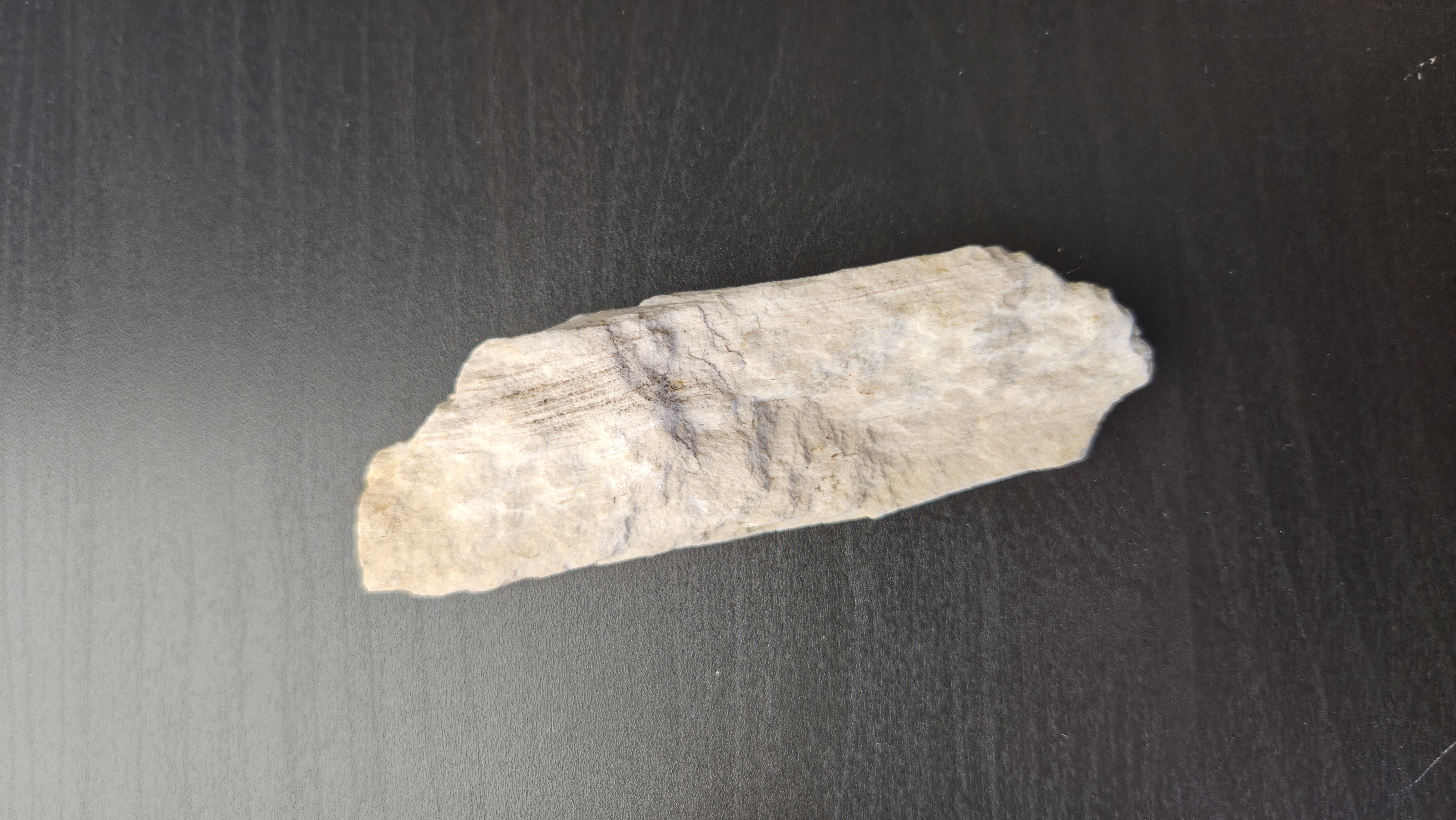 Petrified Wood