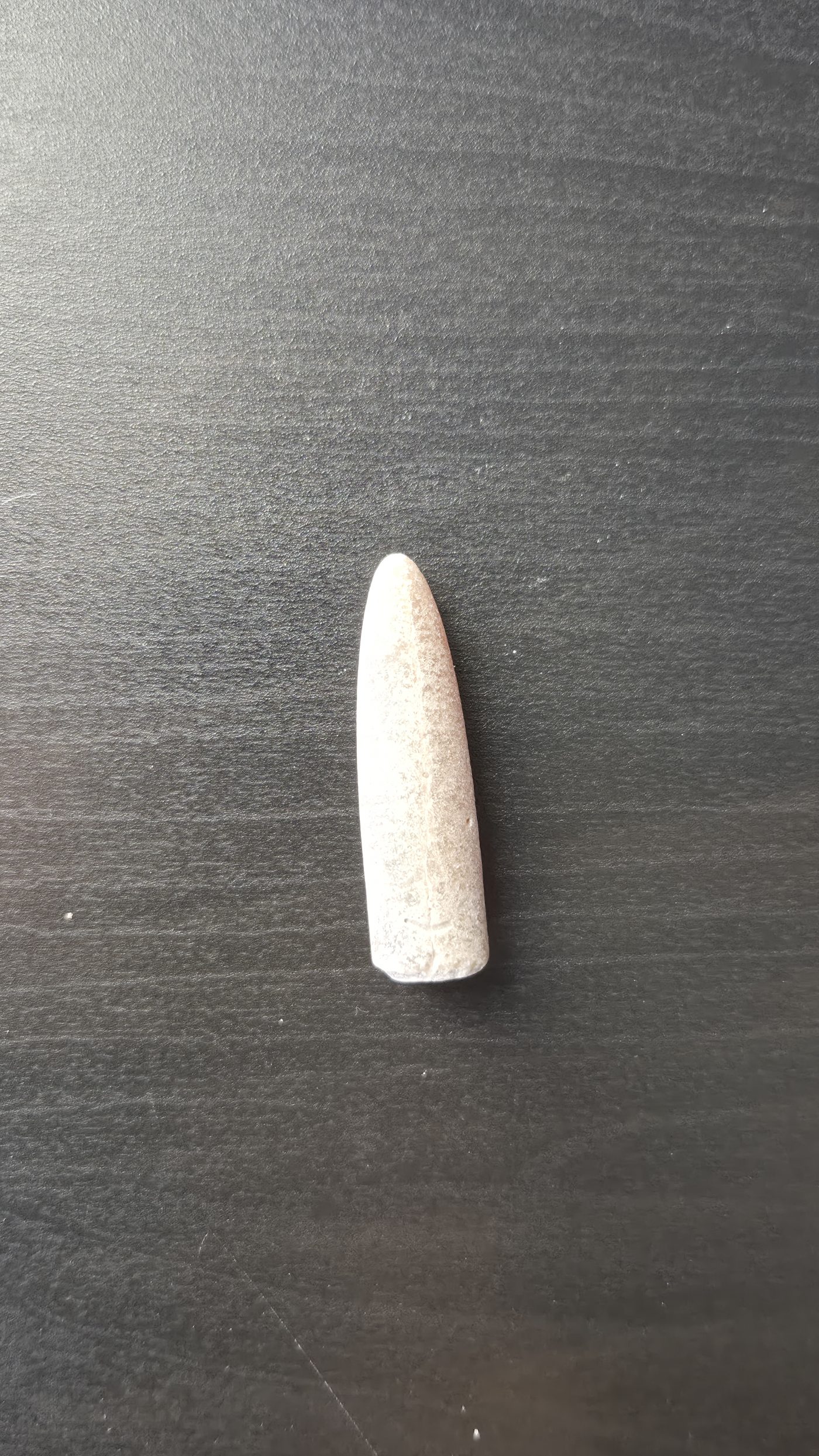 Belemnite