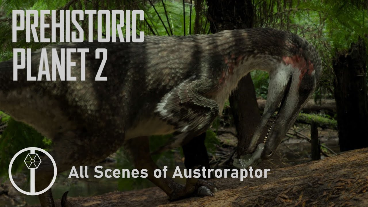 Austroraptor
