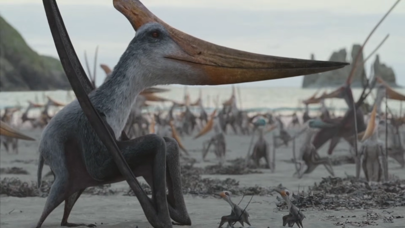 Barbaridactylus