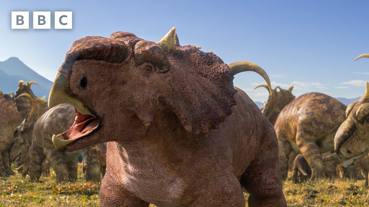Pachyrhinosaurus