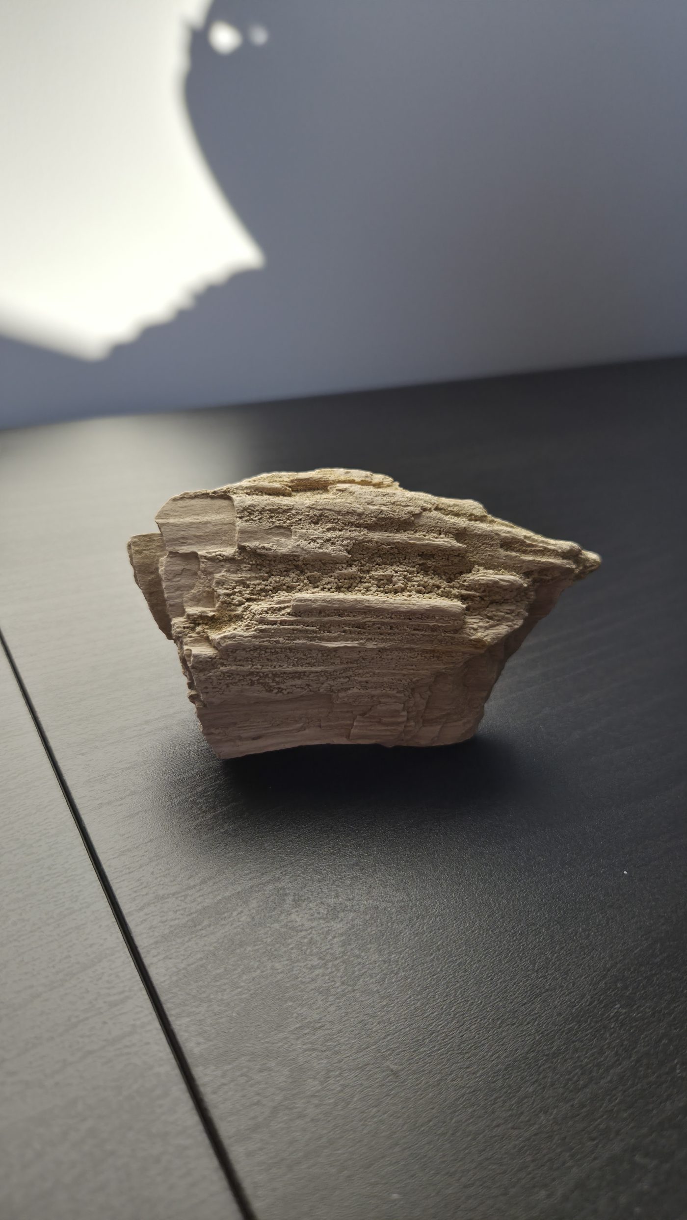 Petrified Wood