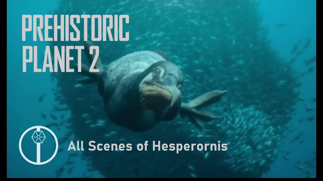 Hesperornis