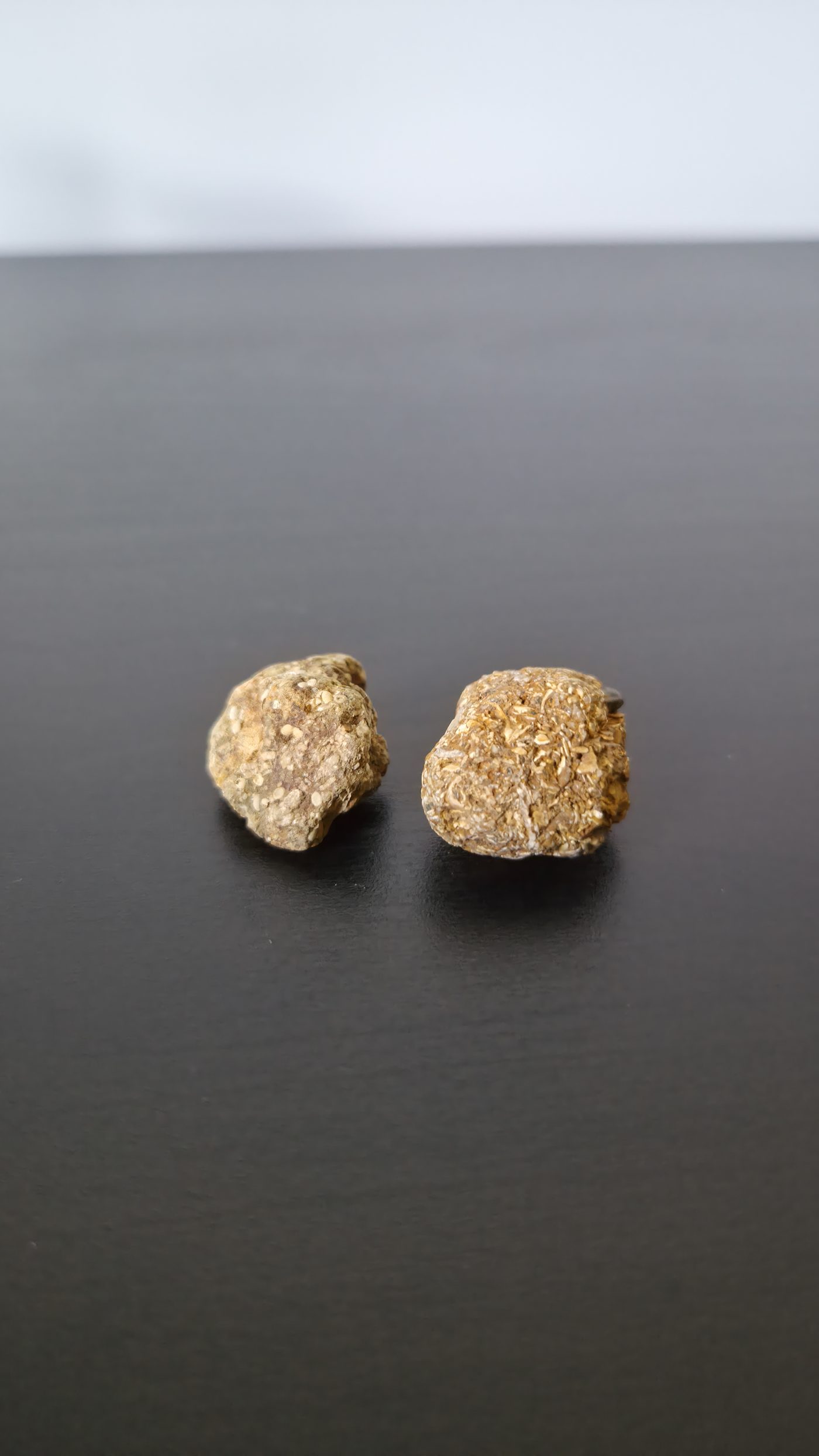 Coquina