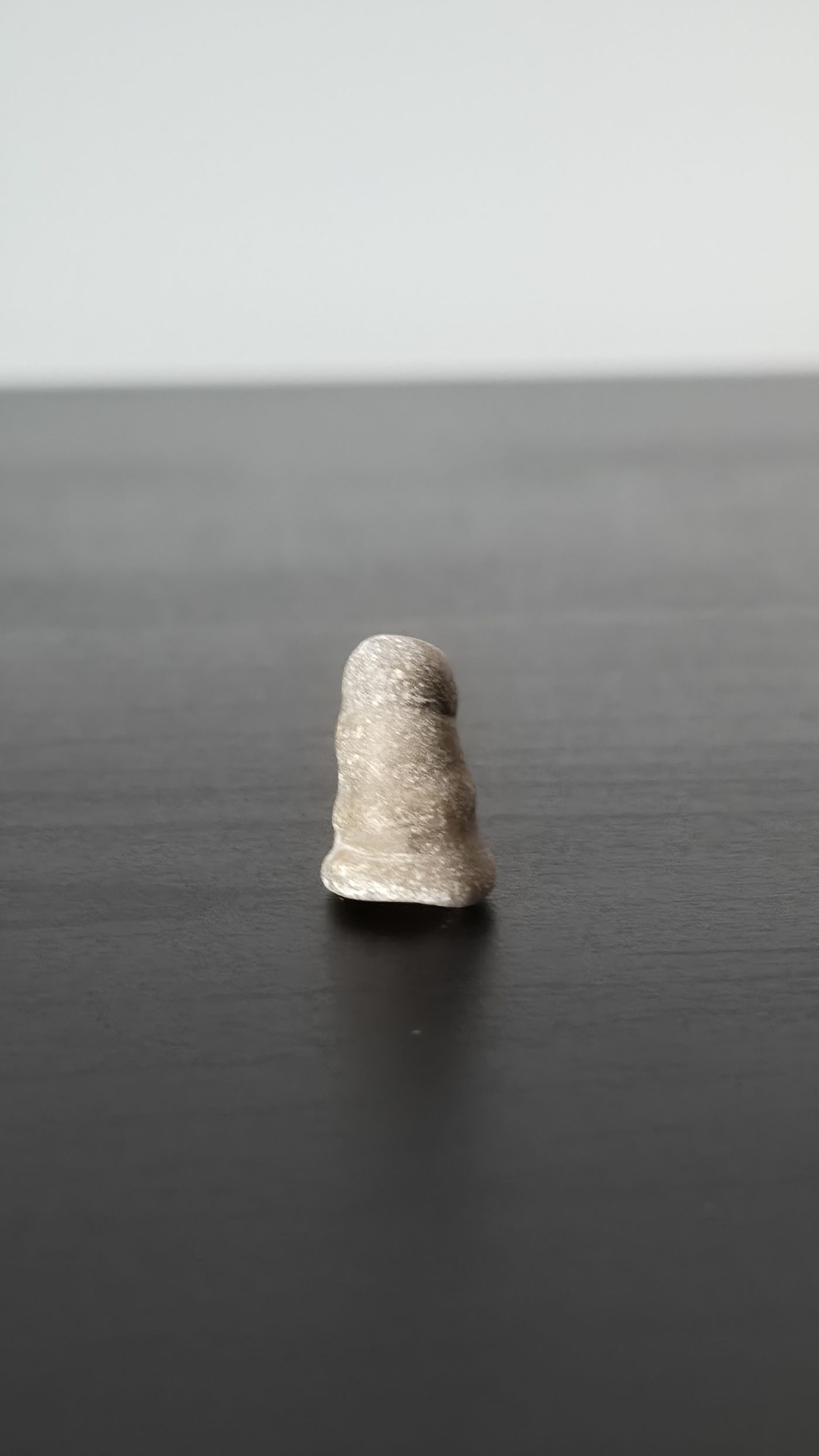 Horn Coral