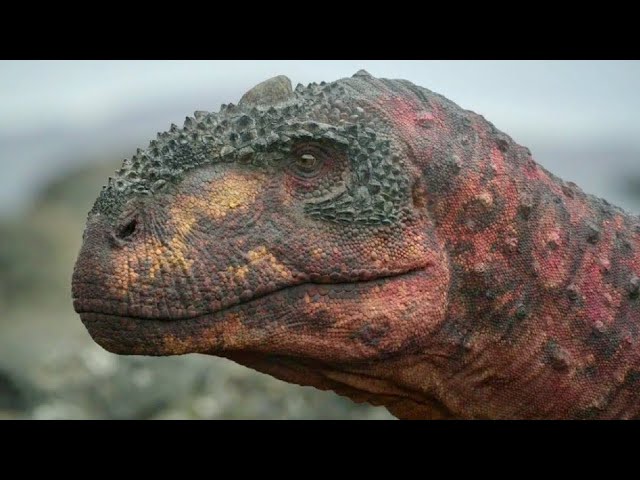 Rajasaurus