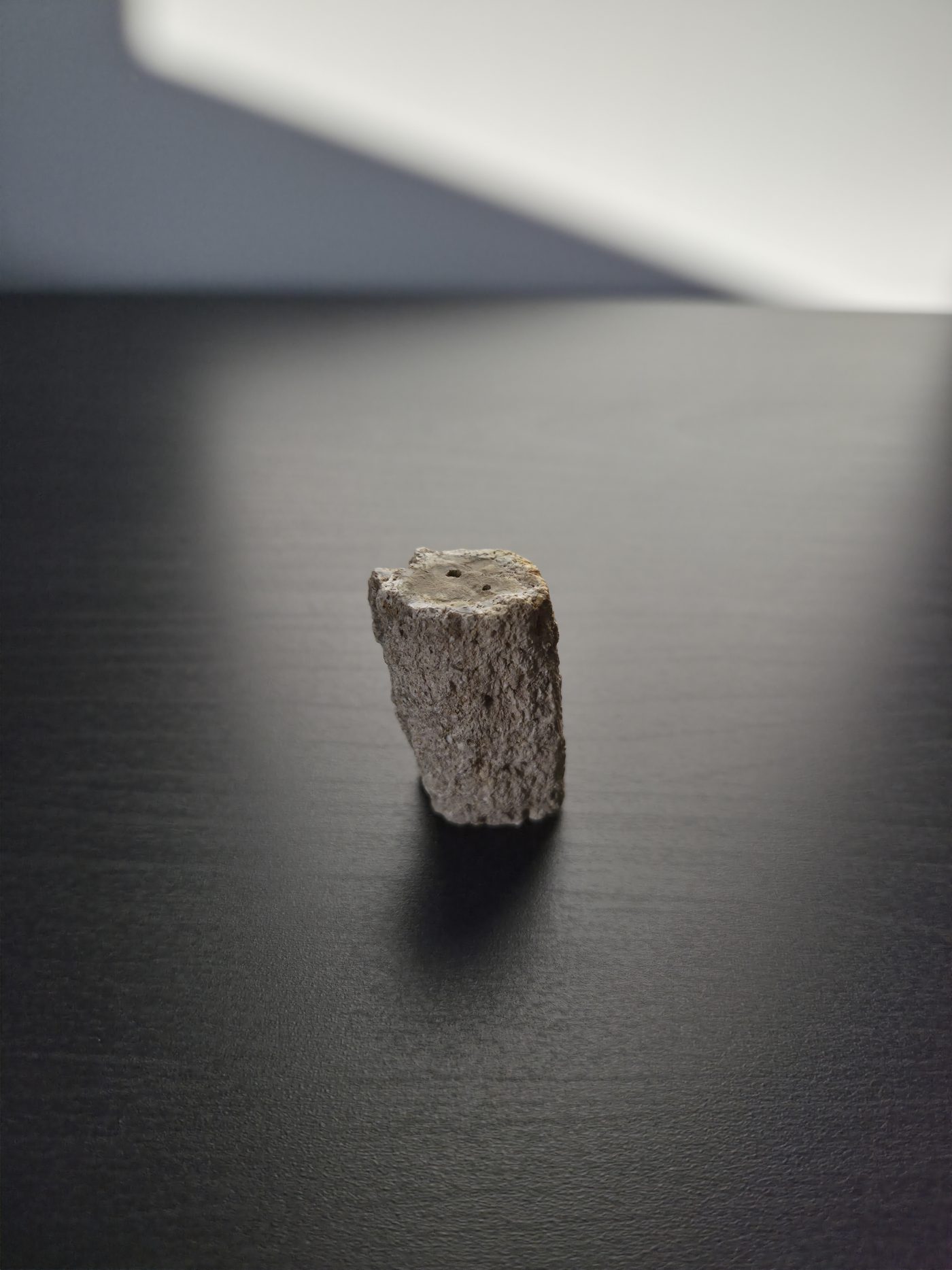 Petrified Wood