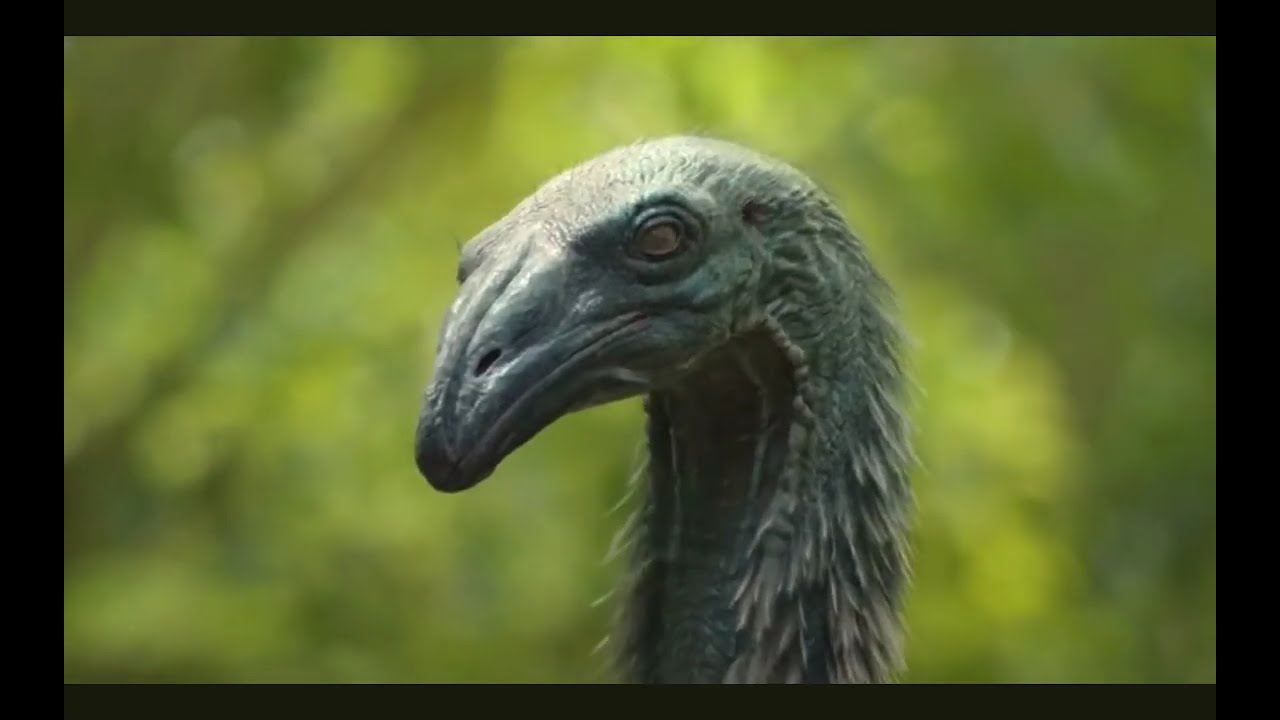 Giant Moa