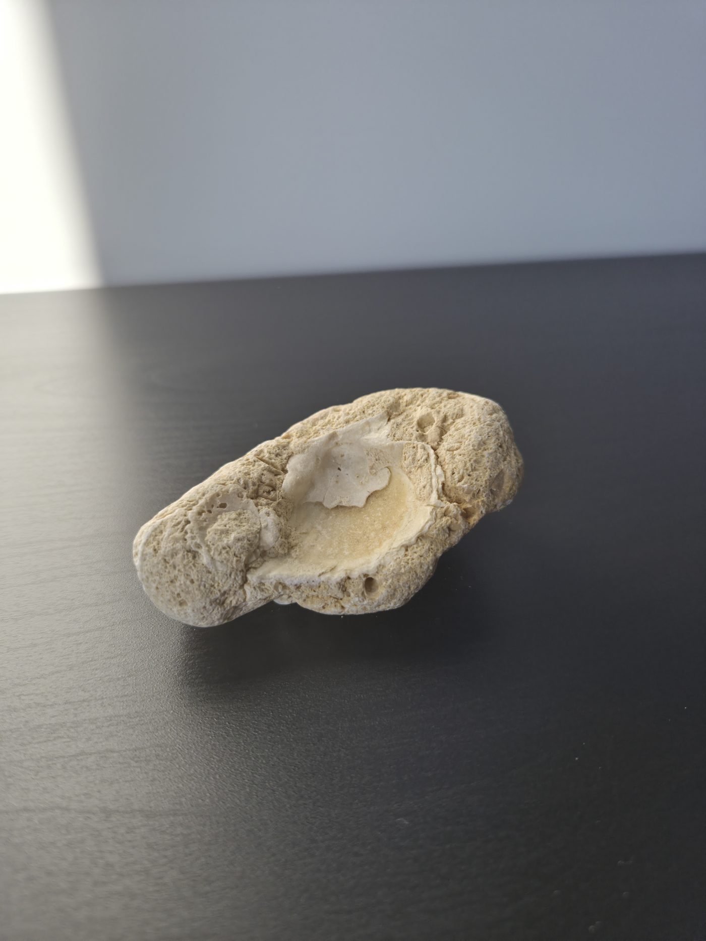 Oyster