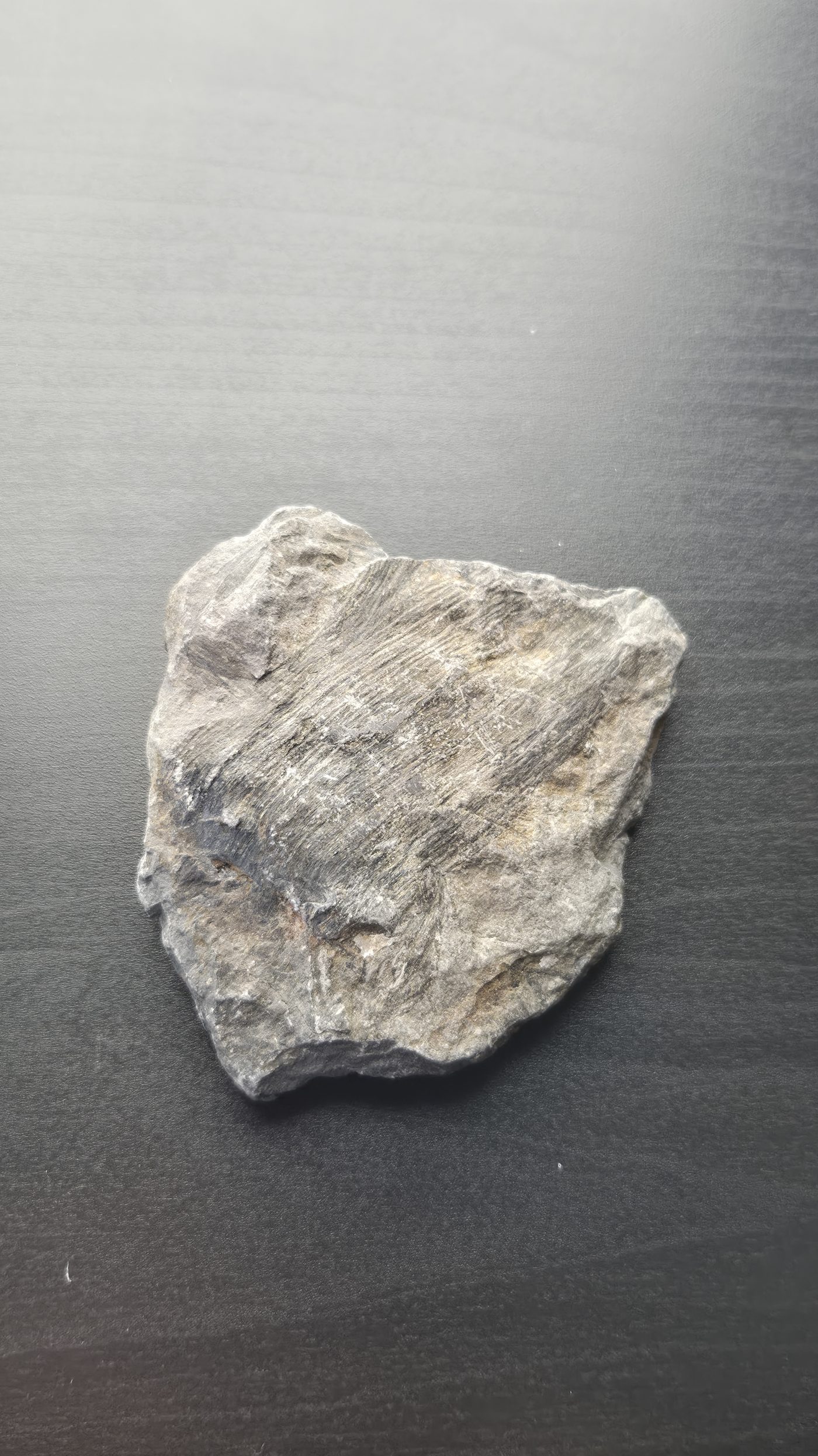 Petrified Wood