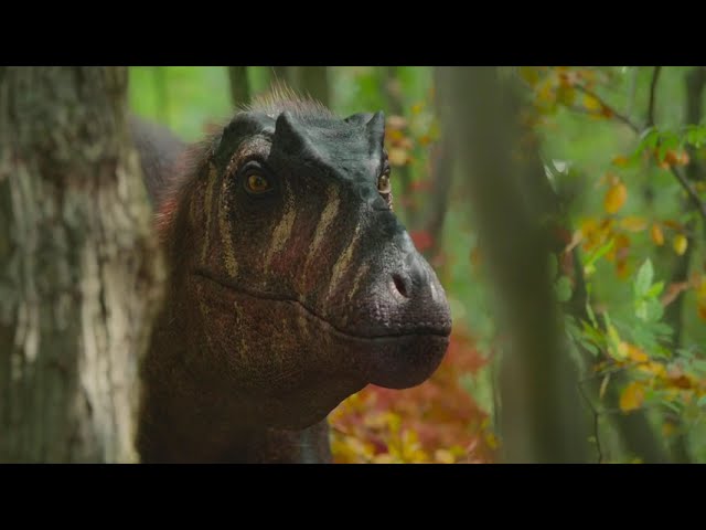 Qianzhousaurus