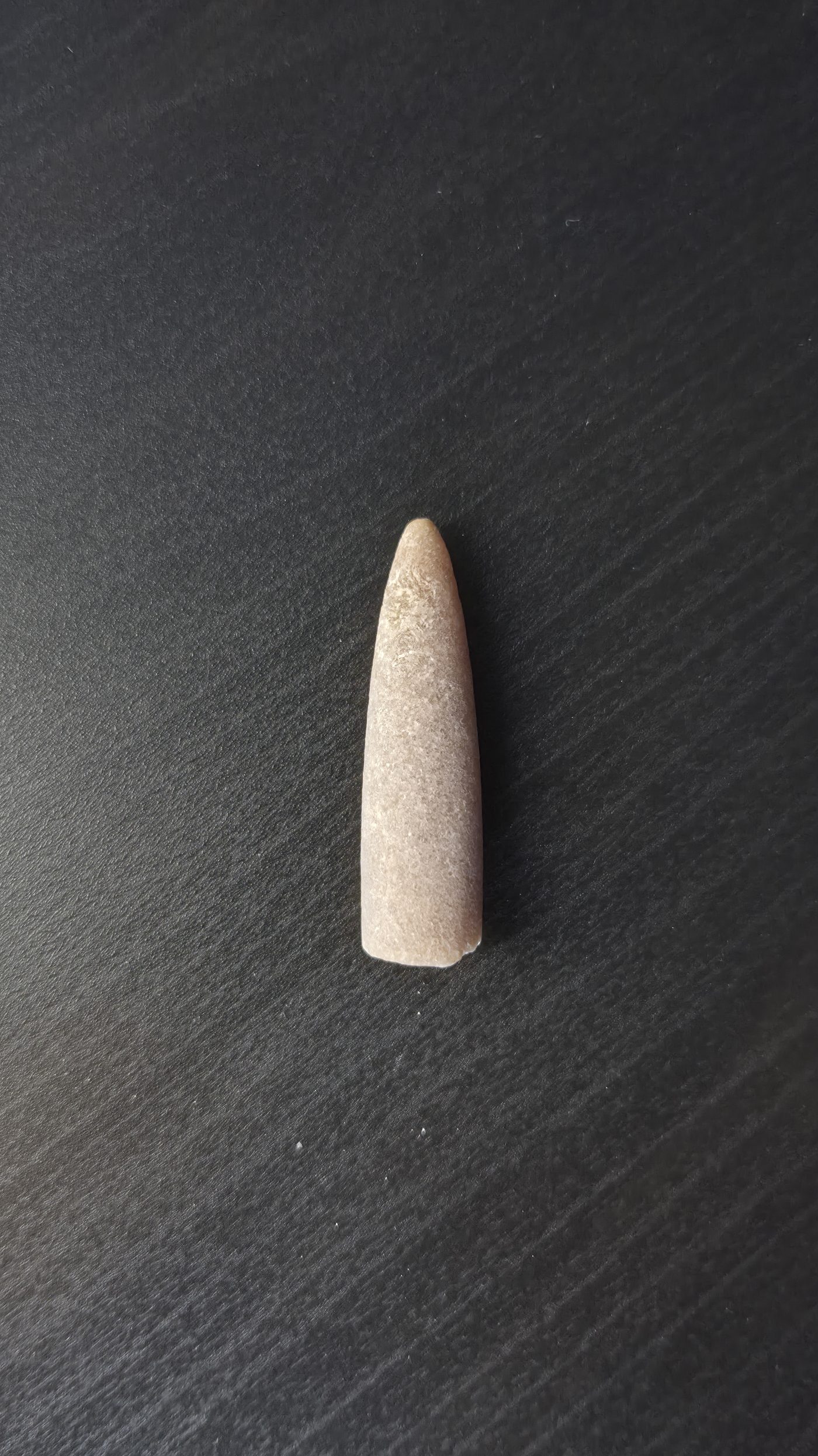 Belemnite