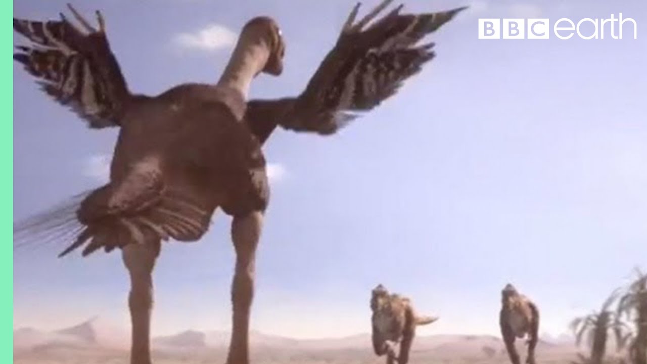 Oviraptorid