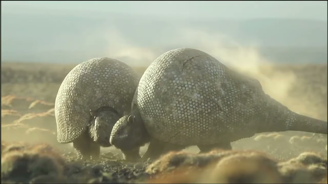 Doedicurus