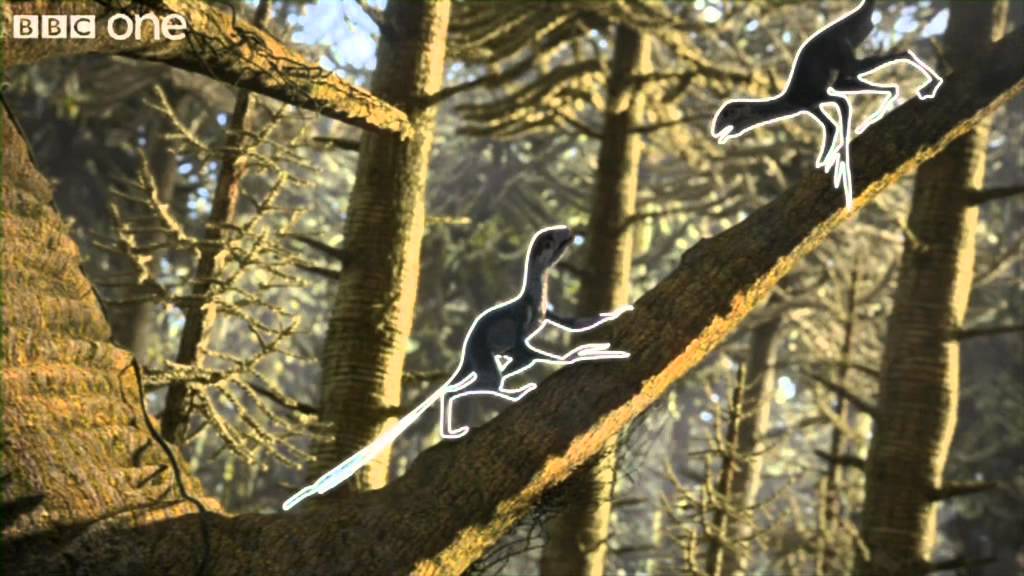 Epidexipteryx