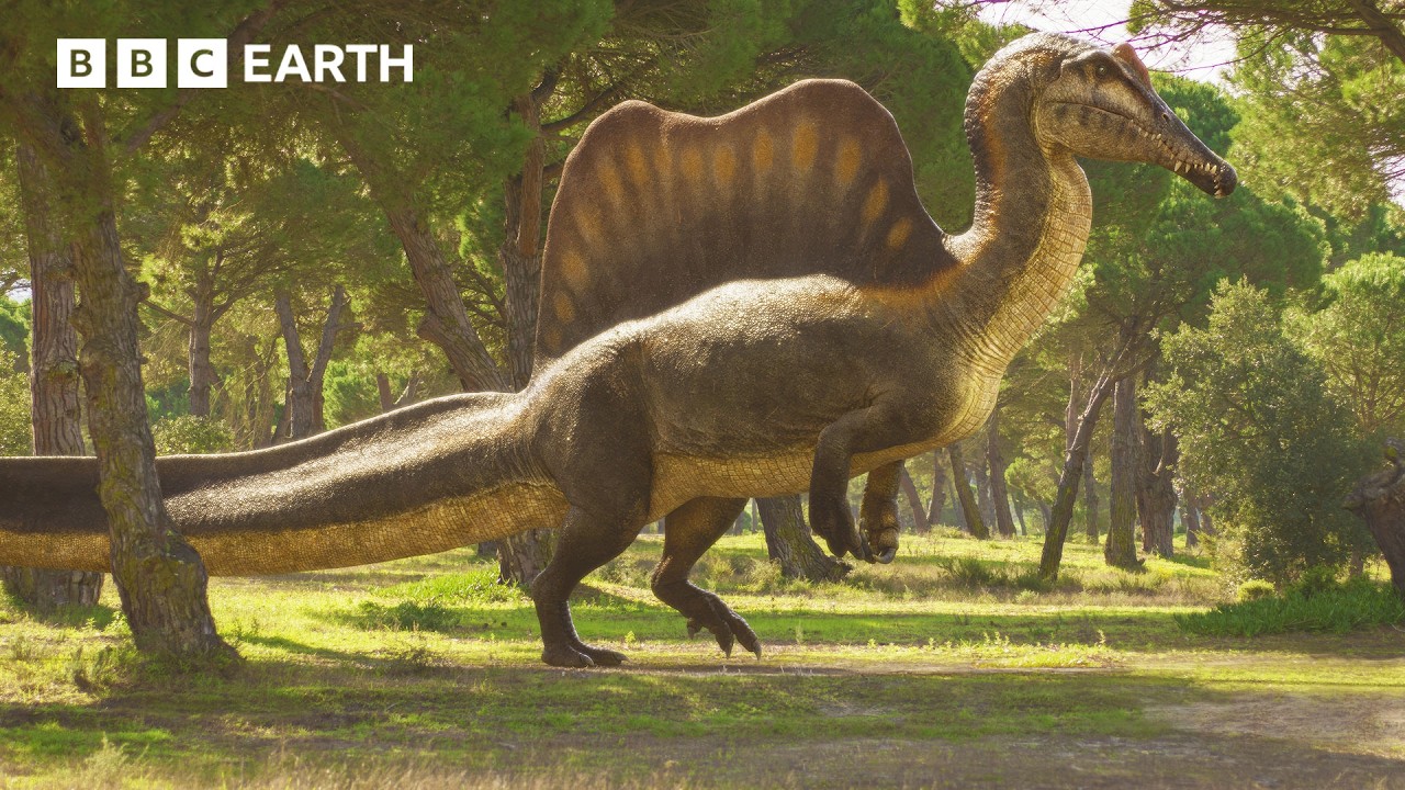 Spinosaurus