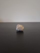 Brachiopod