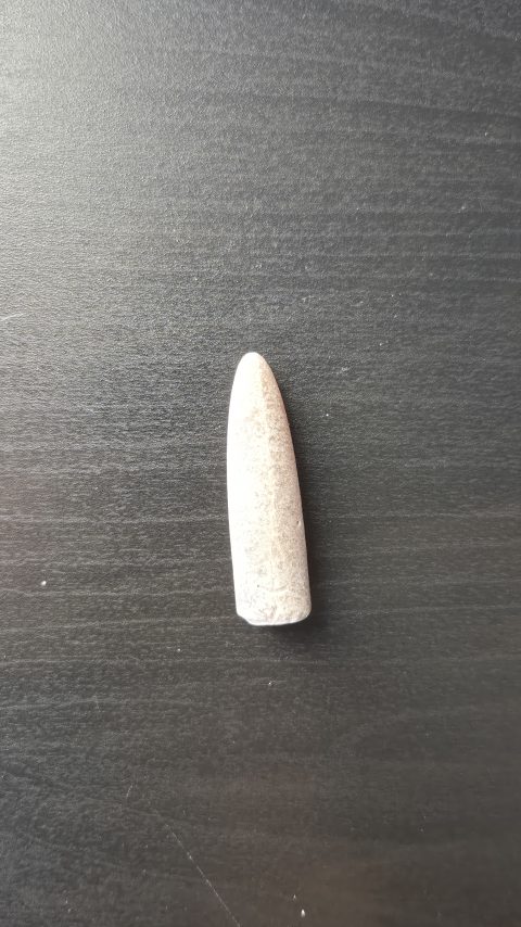Belemnite