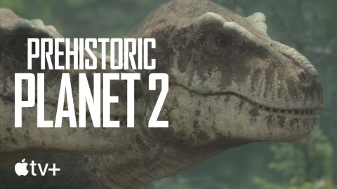 Tyrannosaurus Rex