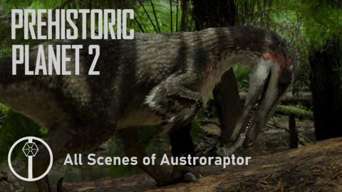 Austroraptor