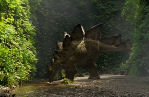 Stegosaurus