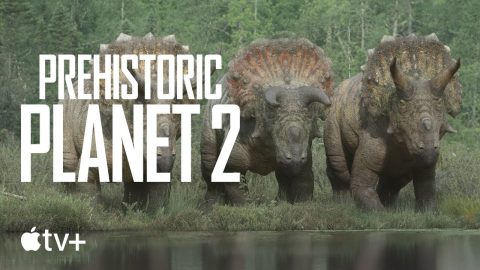 Triceratops