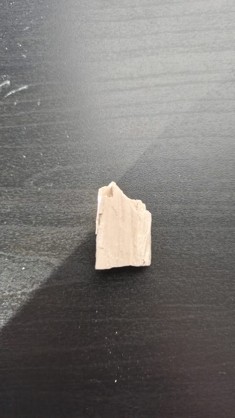 Petrified Wood
