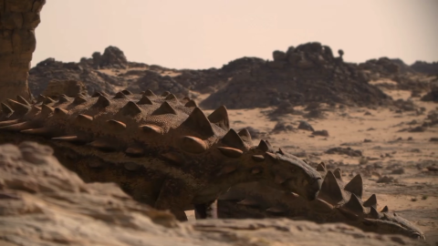 Tarchia