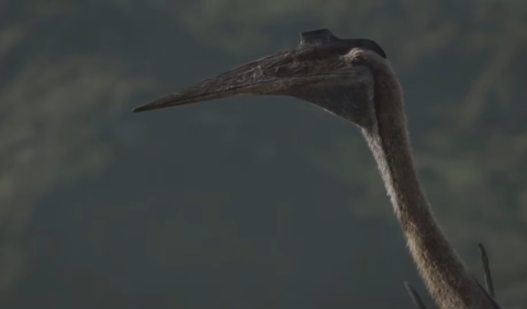Quetzalcoatlus