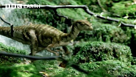 Leaellynasaura