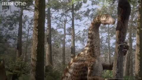 Nothronychus