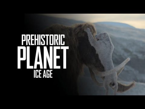 Mammoth