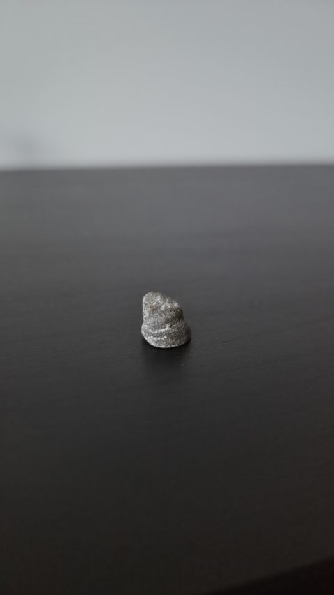 Gastropod