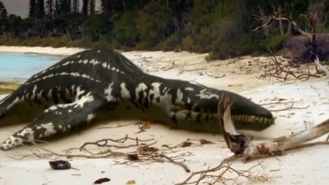 Liopleurodon