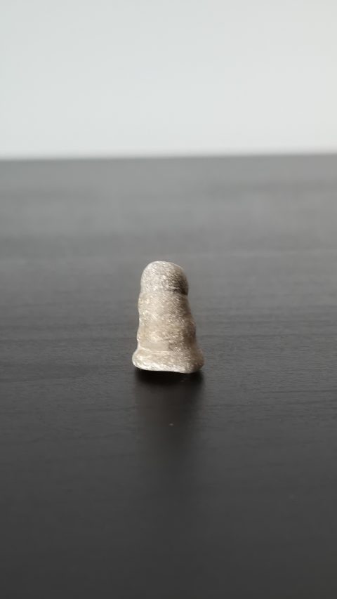 Horn Coral