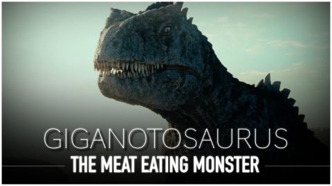 Giganotosaurus