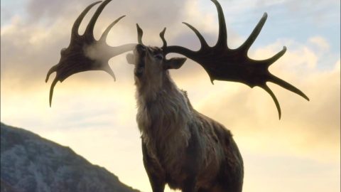 Megaloceros
