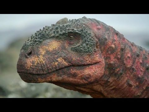 Rajasaurus