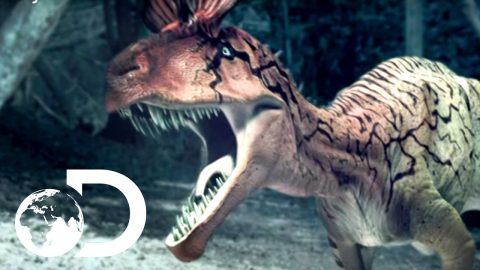 Cryolophosaurus