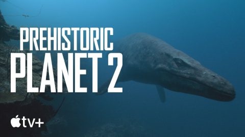 Mosasaurus